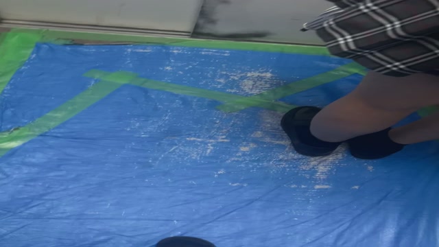 エレベーター　逆さ　鳥